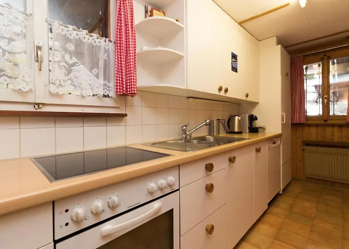 Eigersunne 2 Apartment *